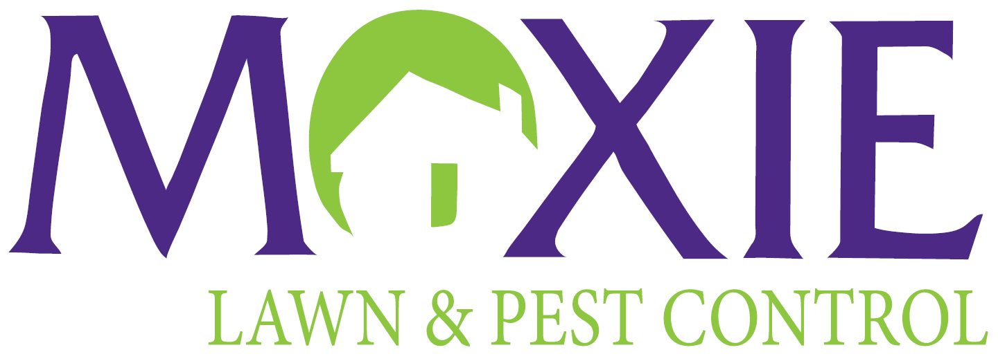 Moxie Lawn & Pest Control | Lawn Maintenance Services ...