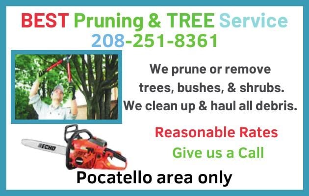Pruning ad