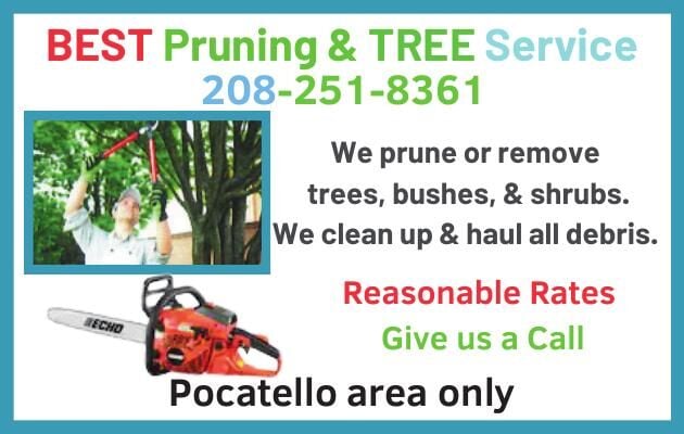 Pruning ad