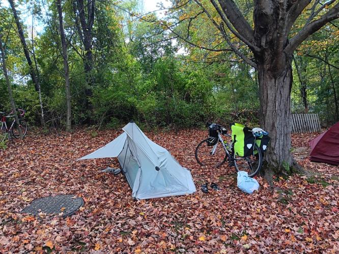 leaves camping area