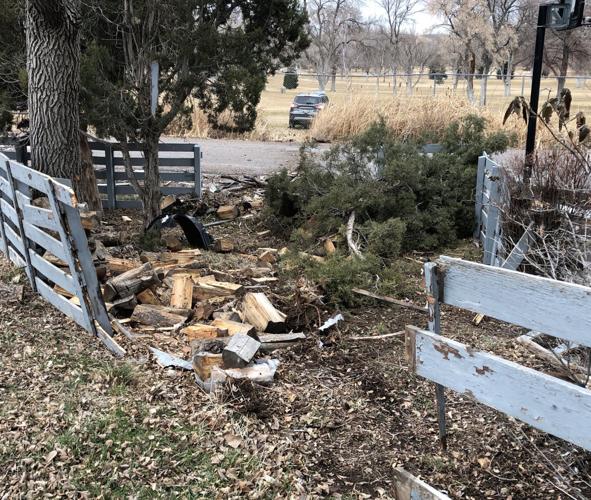 Elderly woman survives crashing car into multiple fence rows, hitting tree headon in south