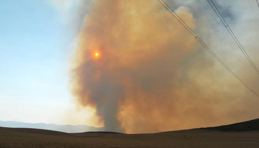 Powerline Fire in Arbon Valley News