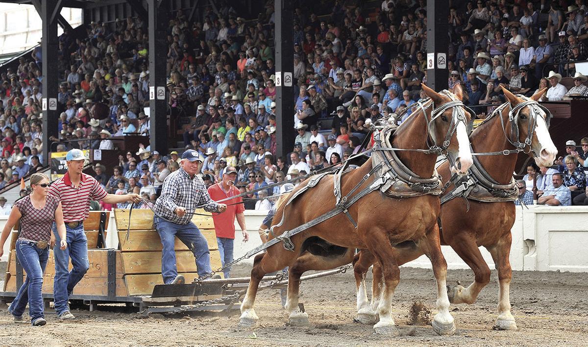 2017 Eastern Idaho State Fair sets new attendance record Local