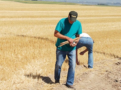 Pleasant Valley farmer Clarence Gohl