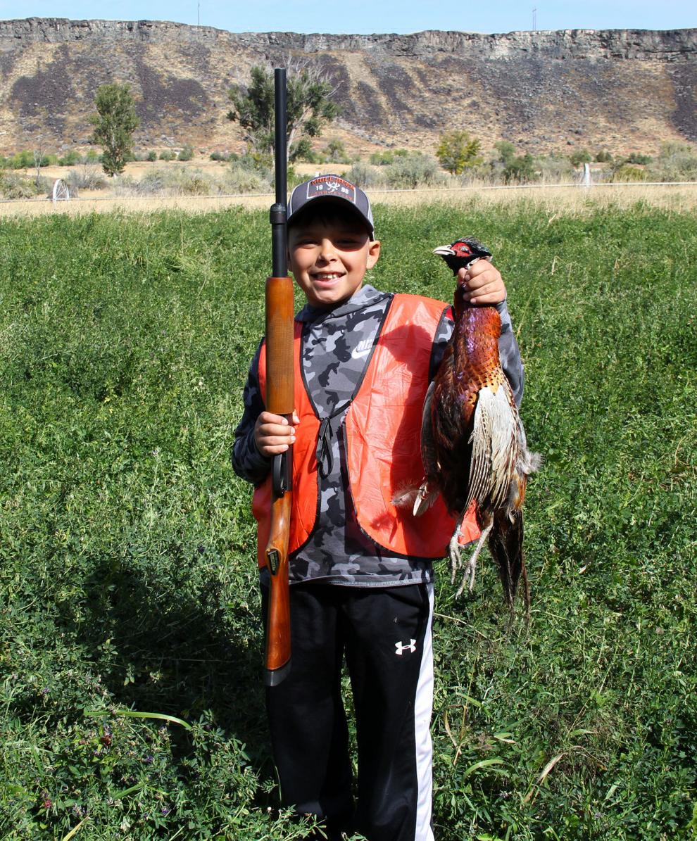 Youth pheasant season runs Oct. 39, new stocking areas added this year