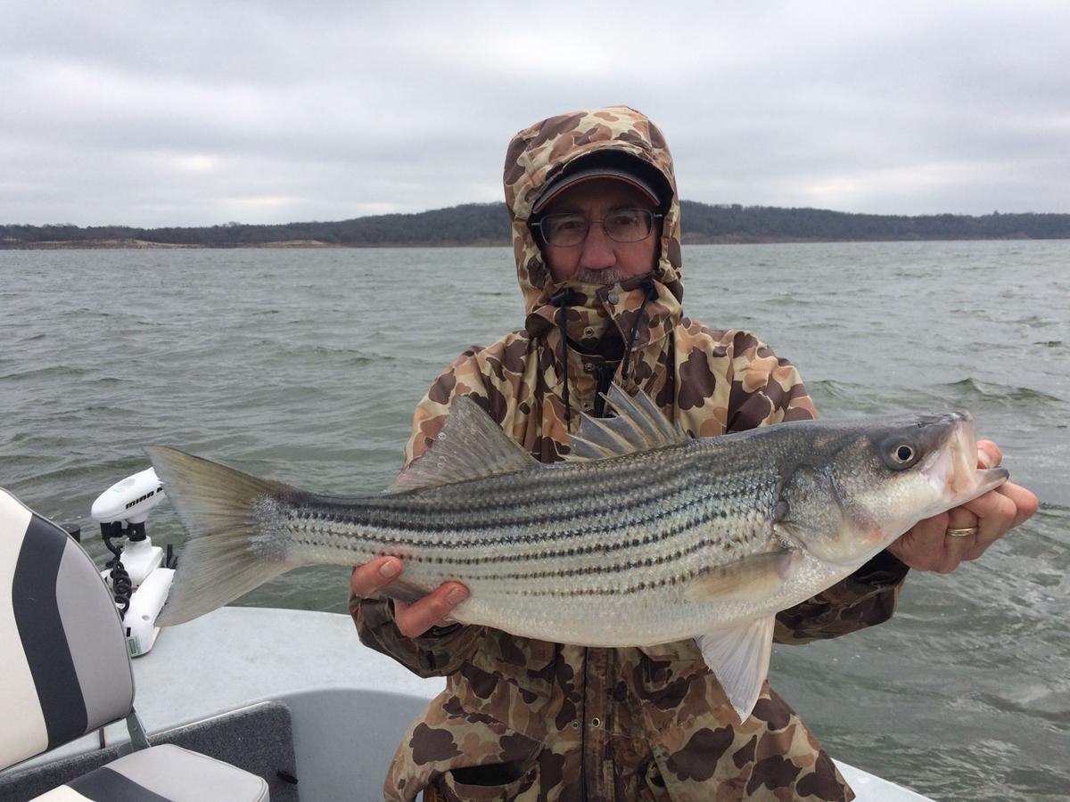 best time to fish for striped bass in texas