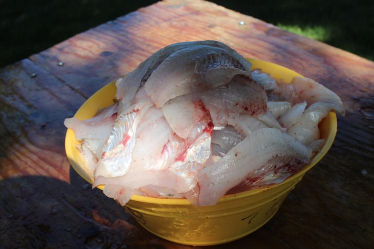 crappie 2