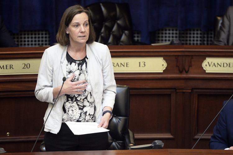 Legislature07.JPG