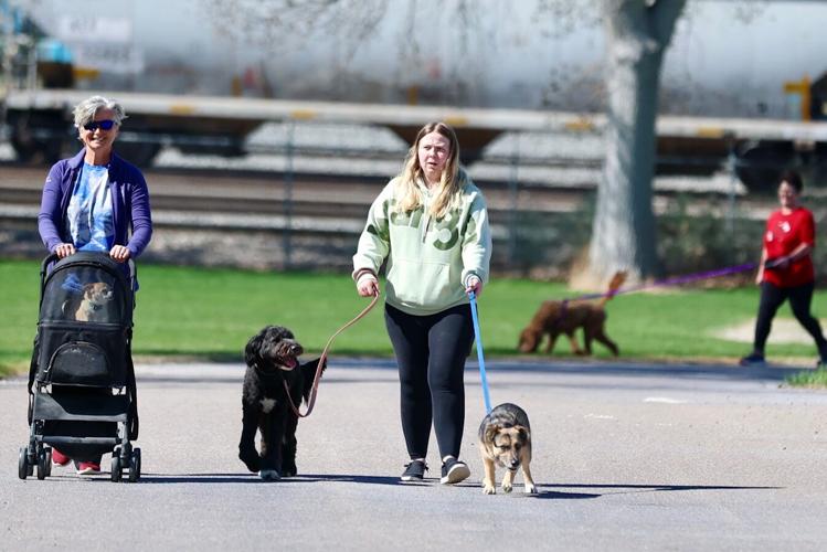 Photos of Run with the Big Dogs at Ross Park in Pocatello | Local ...