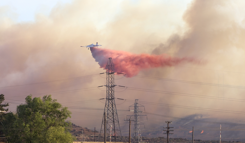 Wildfire
