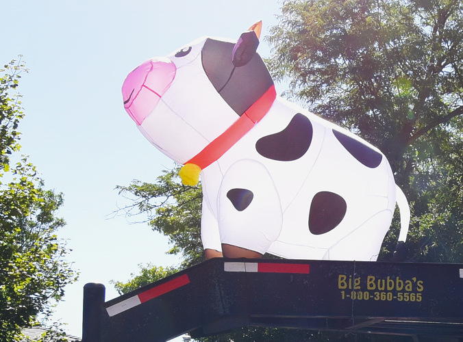 cow afloat.png