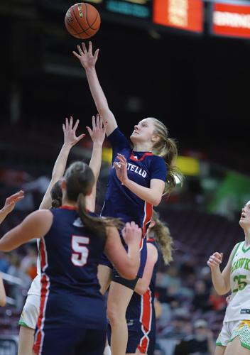 Pocatello girls basketball (copy)