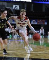 Idaho State to introduce men's and women's basketball teams at Friday's Hoopfest