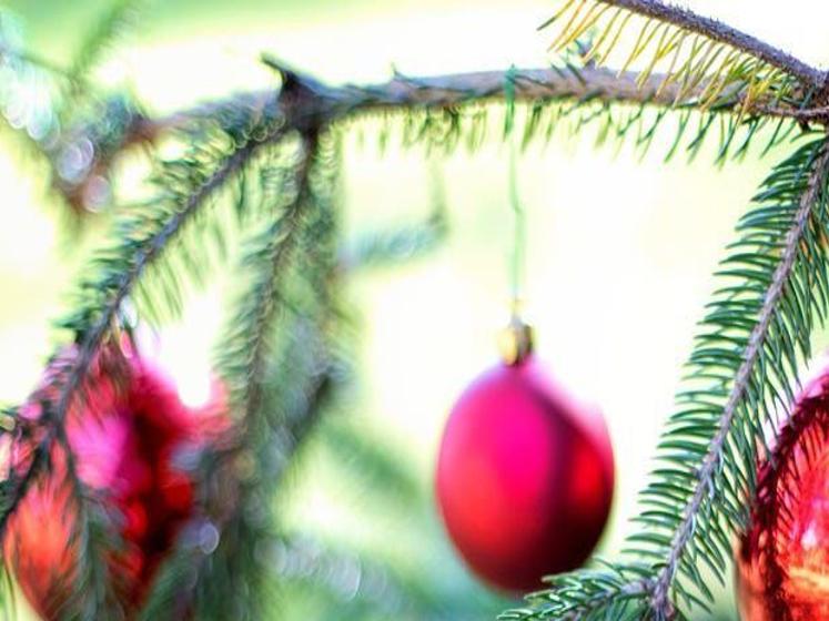 Christmas Tree Permits Available At Southeast Idaho Blm Offices Community Idahostatejournal Com