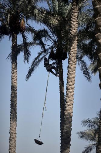 See the world in vertical: Top photos by AP photojournalists