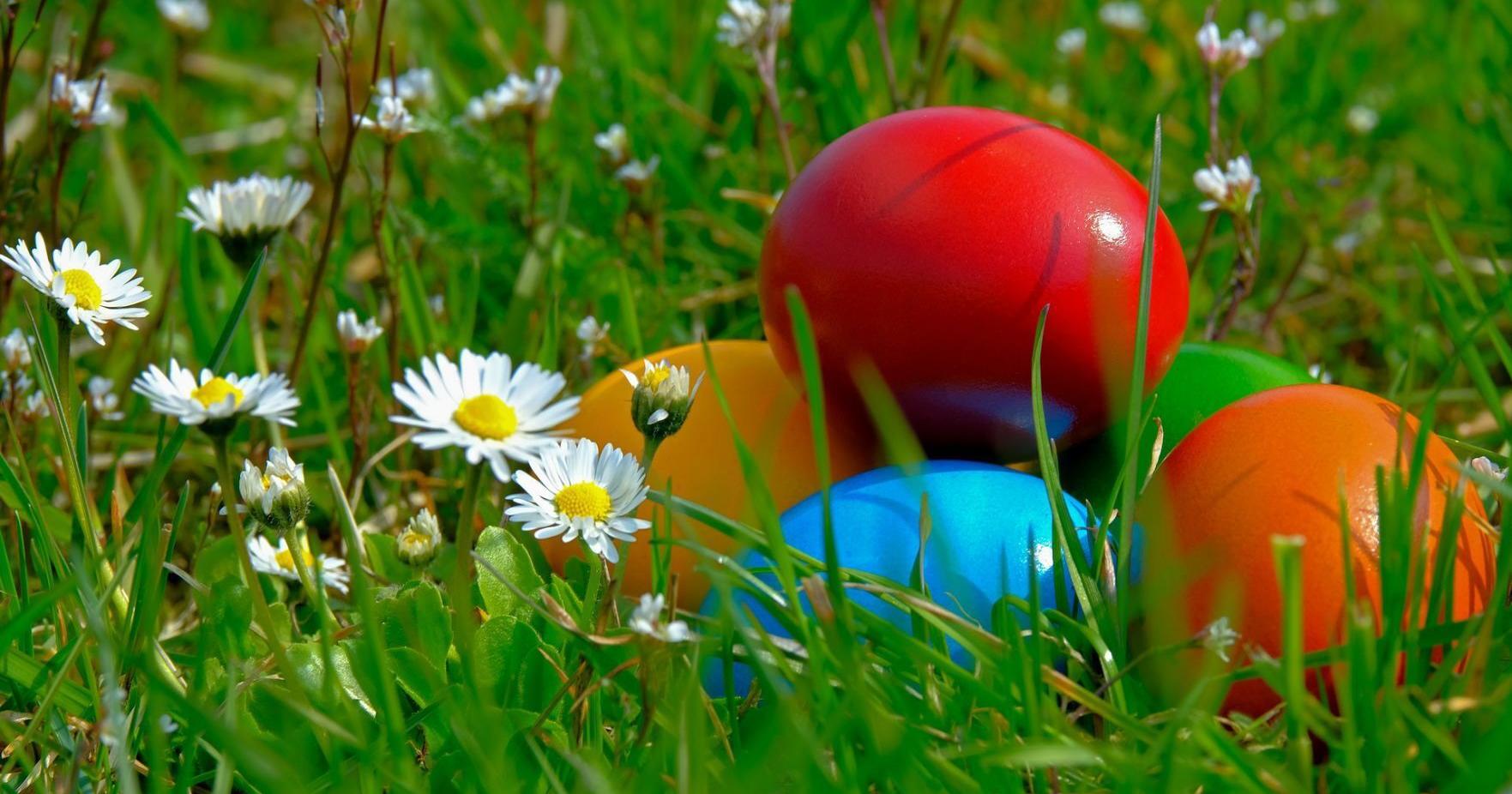 Where to go Easter egg hunting in East Idaho this week - Vimarsana News