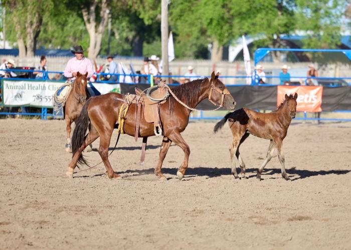 Photos of the Blackfoot Ranch Rodeo at Eastern Idaho State Fairgrounds