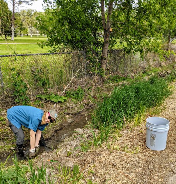 City of Pocatello, Volunteers Complete Stream Restoration Effort on Buck Creek - Idaho State Journal