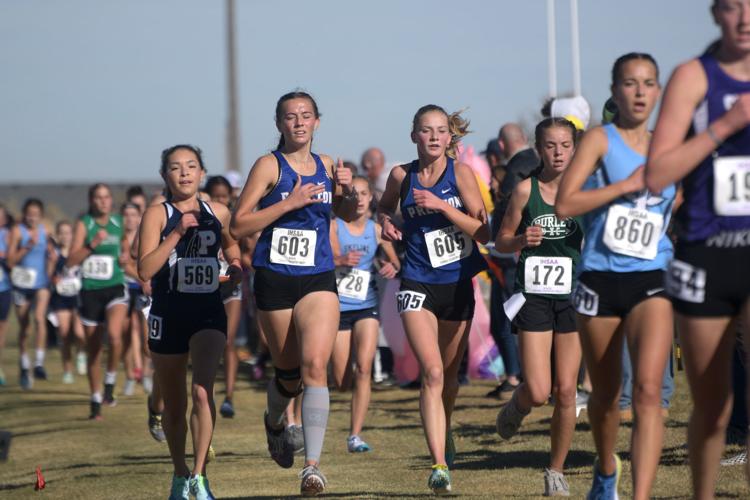 2020 All-Area Girls Cross Country Teams | Preps | idahostatejournal.com