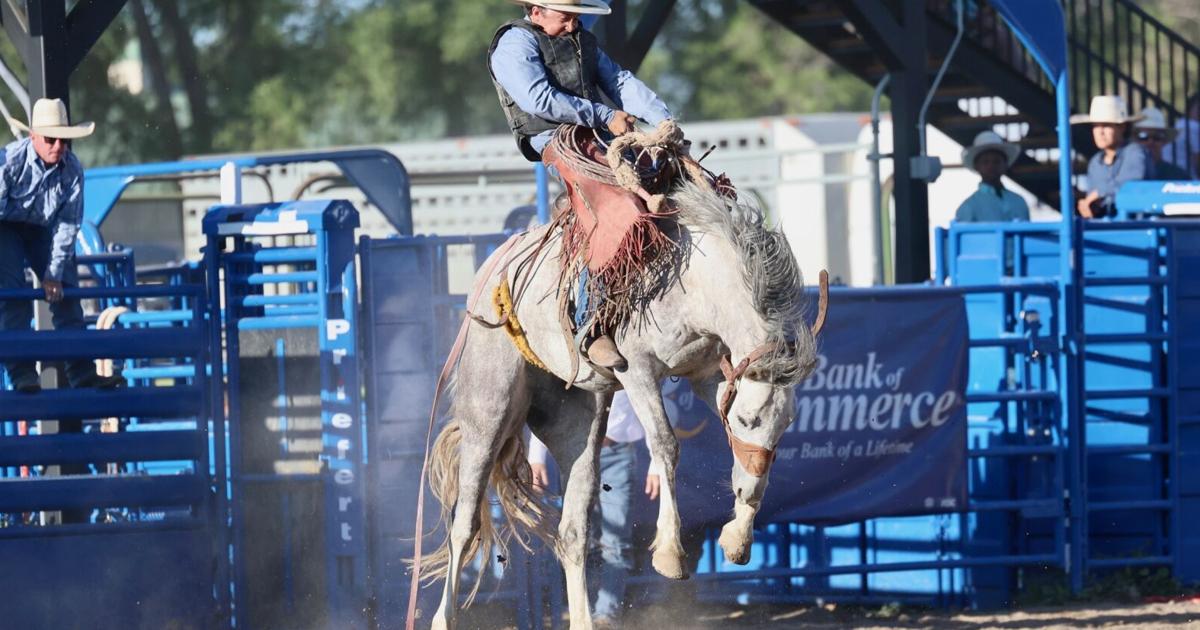Photos of the Blackfoot Ranch Rodeo at Eastern Idaho State Fairgrounds ...