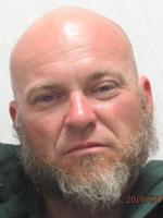 Pocatello men arrested following alleged domestic violence incidents