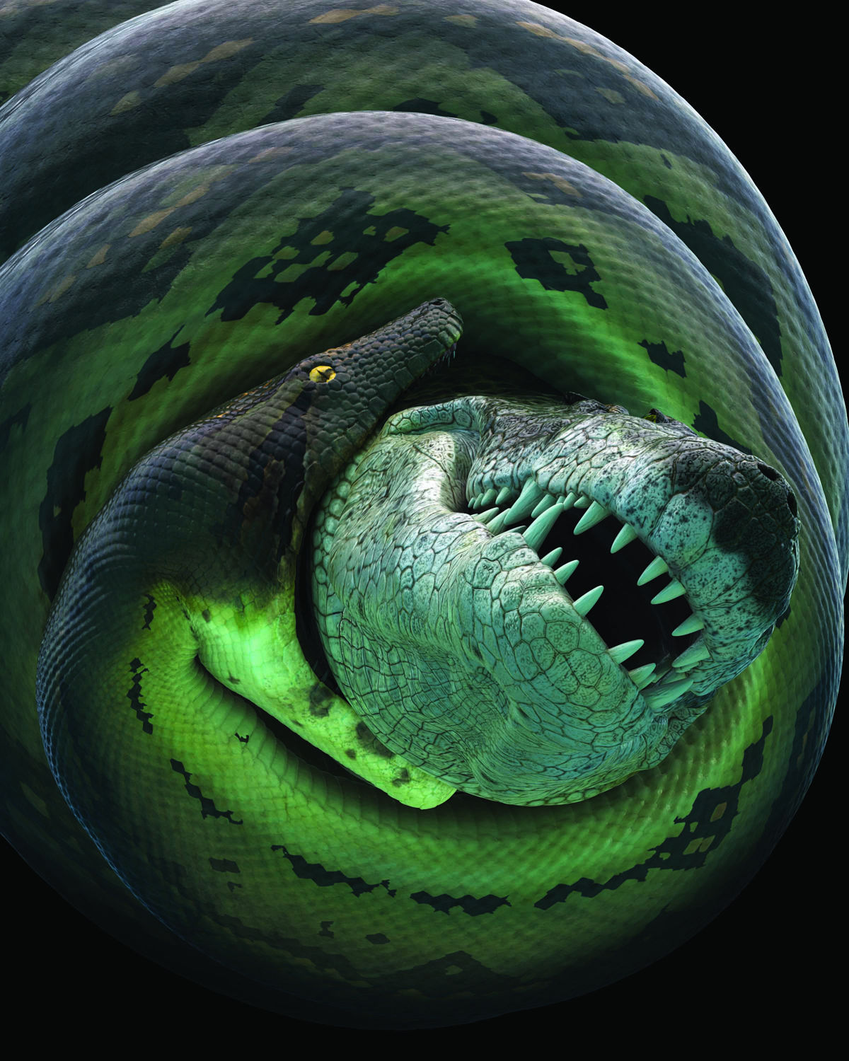 【廃盤】SNAKES,THE QONOS vs SNAKES What snake is on the new Deftones album? : r/whatsthissnake