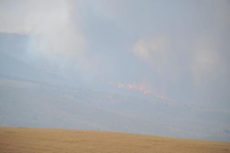 Powerline Fire in Arbon Valley News