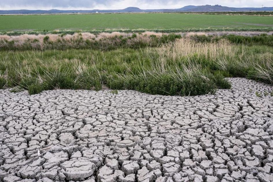 Major drought in Idaho could last years, water manager says - Idaho State Journal