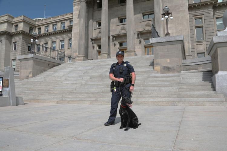 ISP K-9 1.jpg