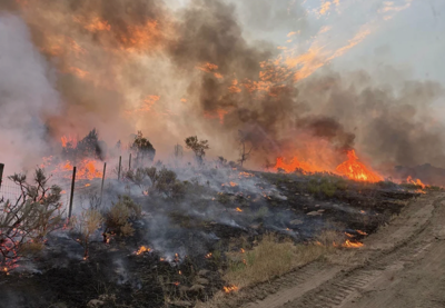 Heise fire