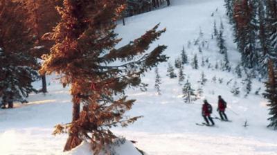 Report Idaho Avalanche That Killed 3 Started By Skiers Local