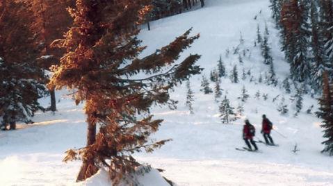 Report Idaho Avalanche That Killed 3 Started By Skiers Local