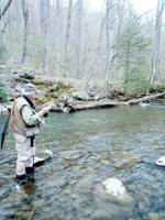 Trout fishing