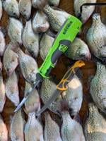 Outdoors: Crappie fishing