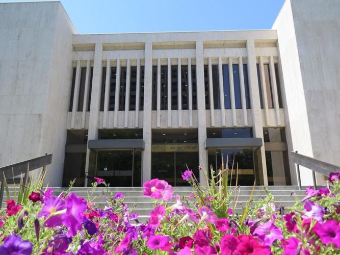 Idaho Supreme Court