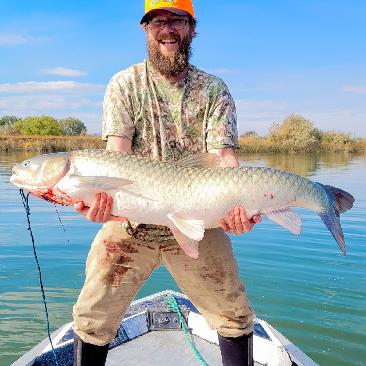 Catch-and-release state record grass carp.