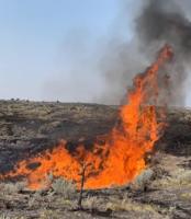 Fire burns 23 acres west of Blackfoot