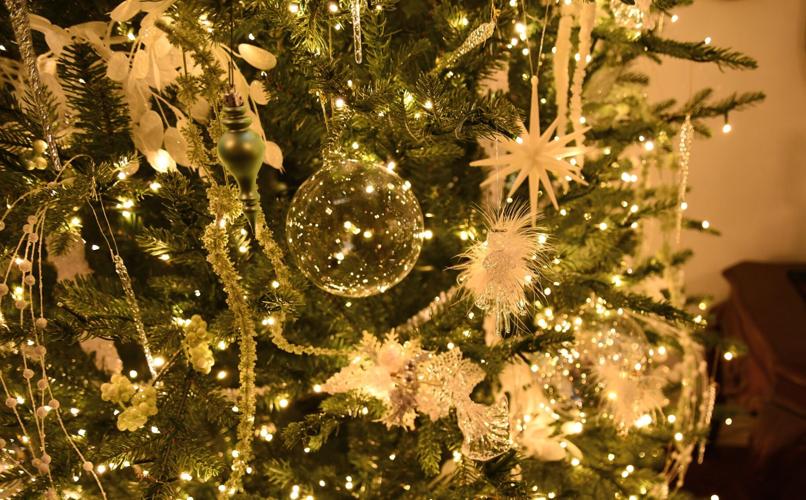 close up to white and silver tree