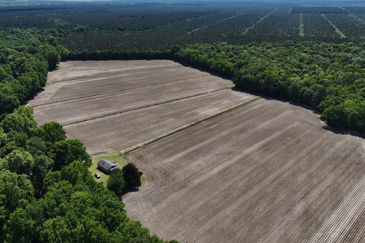 Climate Peatlands Restoration Takeaways