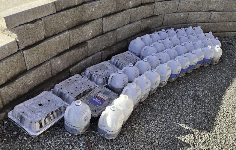 Jugs lined up