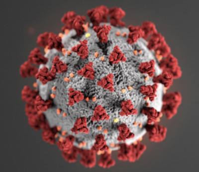 coronavirus graphic