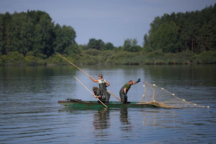 Photos show European fishers on the brink as summer drought parches rivers, lakes and farms