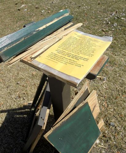 little library vertical