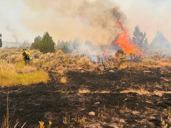 Bruneau FD Big Grass Fire 2