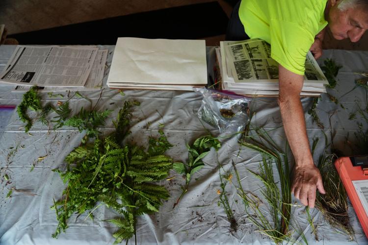 Climate Peatlands Restoration