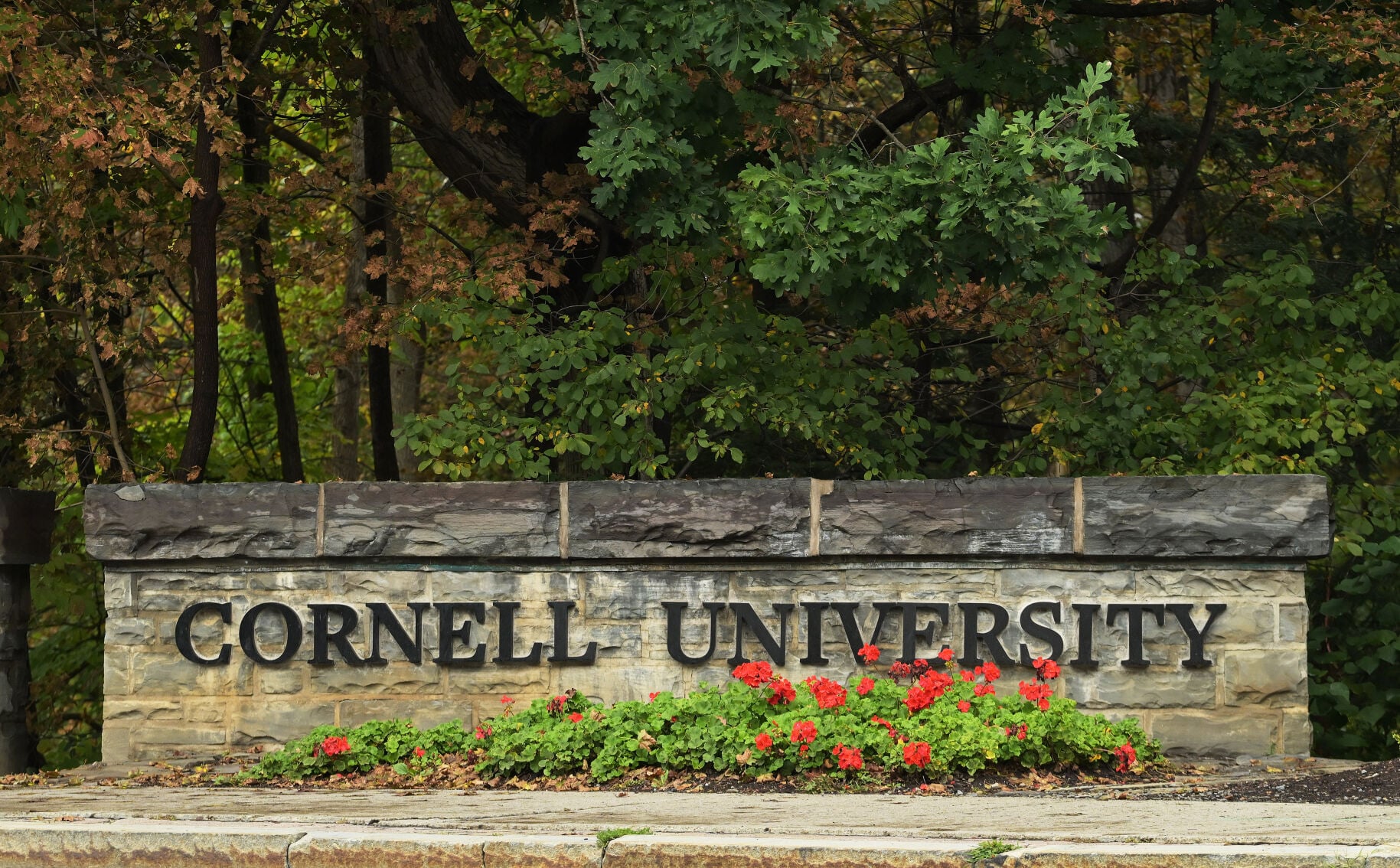 Cornell Fraternity Lawsuit