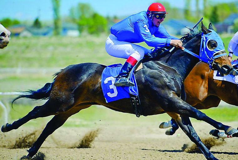 Horse racing at Pocatello Downs set to begin Sunday Members