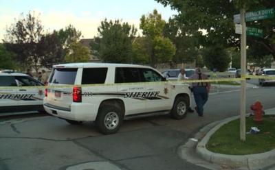 Toddler dies after being struck by car