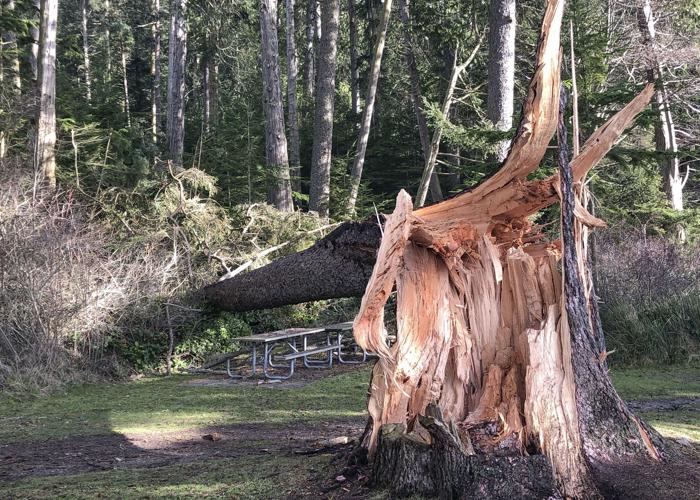 State Park Damage 01