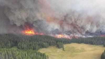 Wildfire smoke